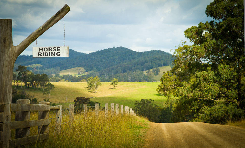 Riverwood Downs Of Barrington Tops Monkerai 외부 사진